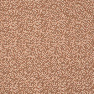 Apolline Corail
