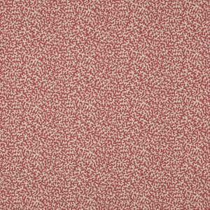 Apolline Framboise