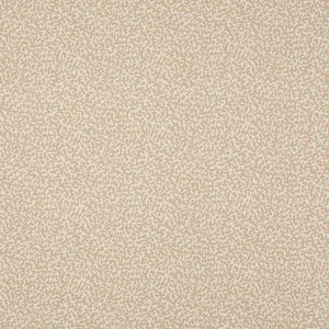Apolline Sable