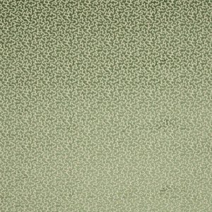 Drago Menthe