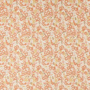 Fiorella Corail