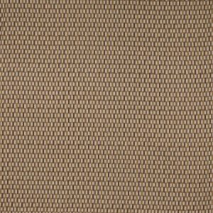 Kita Beige