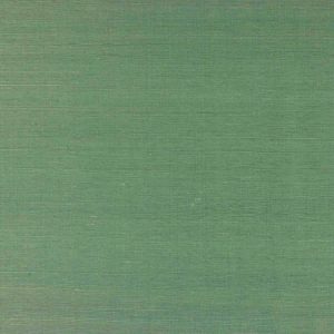 Lazare Agave