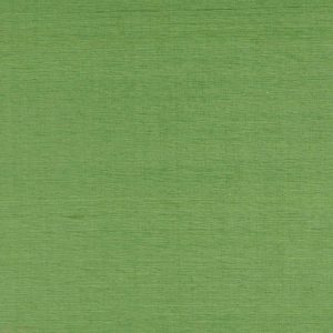 Lazare Kiwi