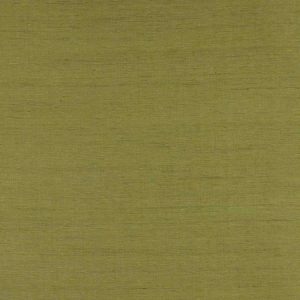Lazare Olive