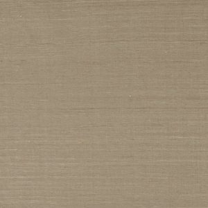 Lazare Taupe