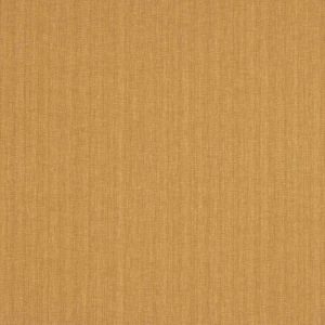 Marco Curry