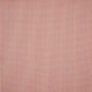 Olmo Corail