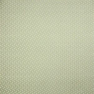 Opio Celadon