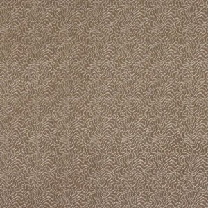 Titus Taupe