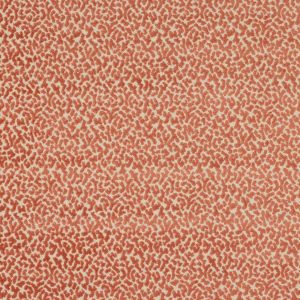 Tobago Corail