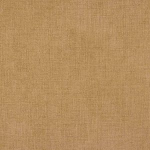 Voltaire Noisette