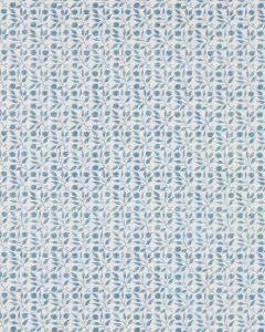 Rosehip Mineral Blue