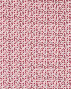 Rosehip Rose