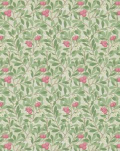 Arbutus Olive/Pink