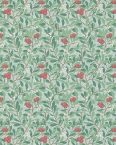 Arbutus Thyme/Coral