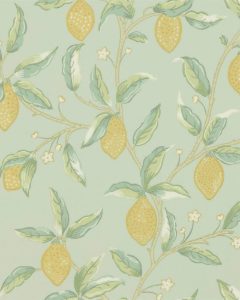Lemon Tree Sage
