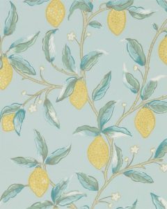 Lemon Tree Wedgewood
