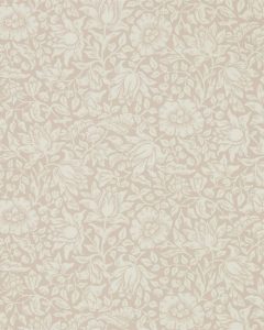 Mallow Dusky Rose