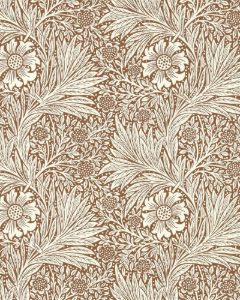 Marigold Chocolate/Cream