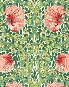 Pimpernel Shamrock/Watermelon