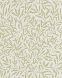 Willow Olive