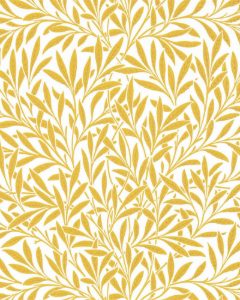 Willow Yellow