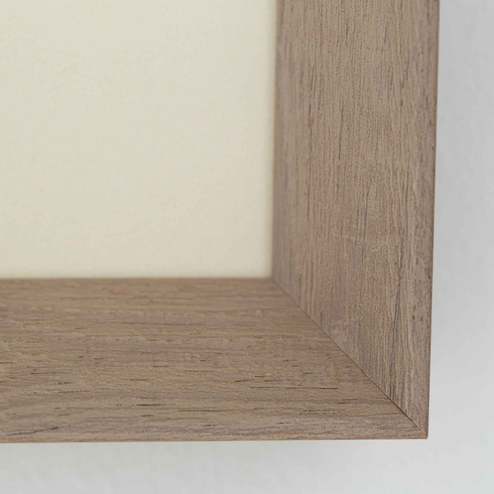 Gerahmte Illustration „Adriantum Striatum" von Flamant