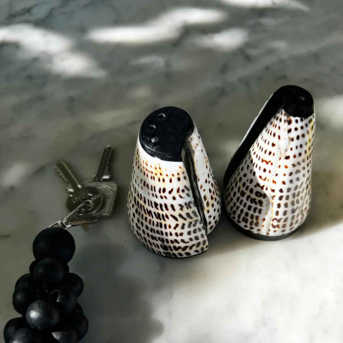Salz- & Pfefferset aus Muscheln, 2er-Set