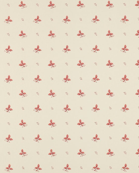 Ashling Pink – Tapete von Colefax and Fowler