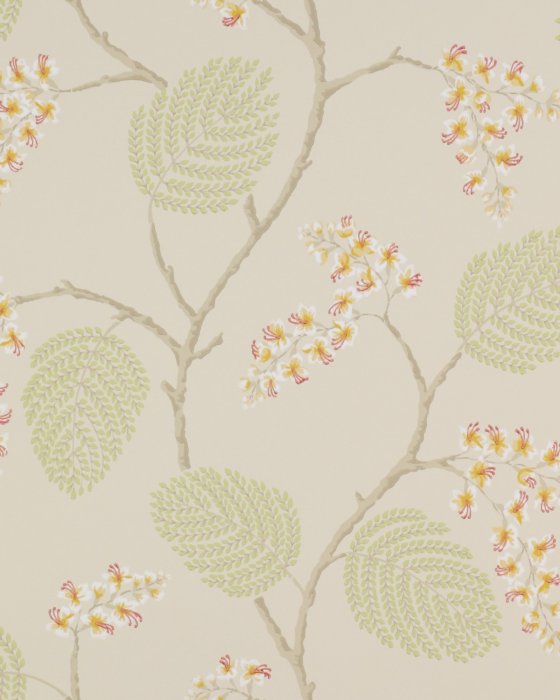 Atwood Coral/Green – Tapete von Colefax and Fowler