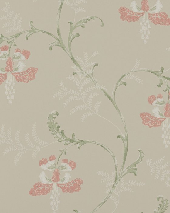 Bellflower Pink/Green – Tapete von Colefax and Fowler