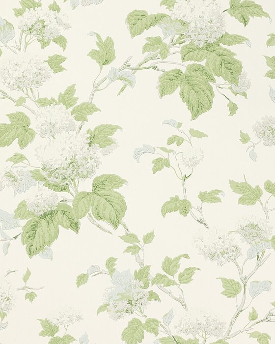 Chantilly Silver/Forest Green – Tapete von Colefax and Fowler