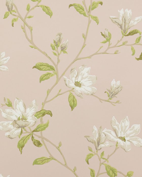 Marchwood Shell Pink – Tapete von Colefax and Fowler