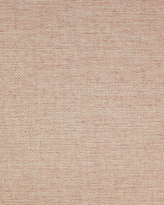 Mecox Coral – Tapete von Colefax and Fowler