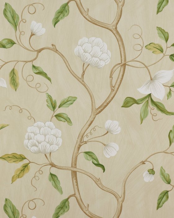 Snow Tree Cream – Tapete von Colefax and Fowler