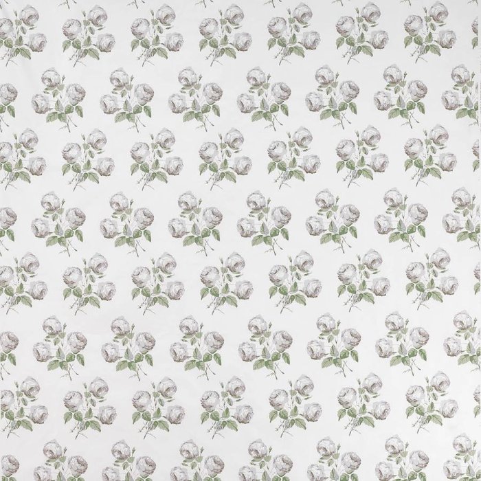 Bowood Chintz von Colefax and Fowler in White/Leaf Chintz