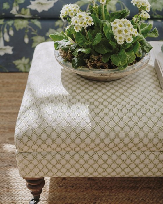 Radnor von Colefax and Fowler – Ambiente 2