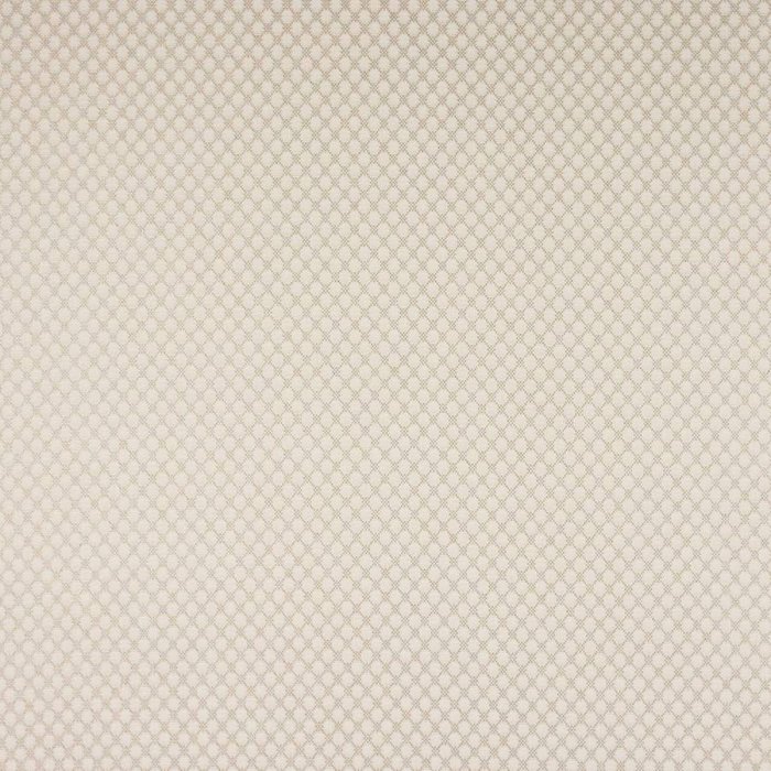 Radnor von Colefax and Fowler in Beige