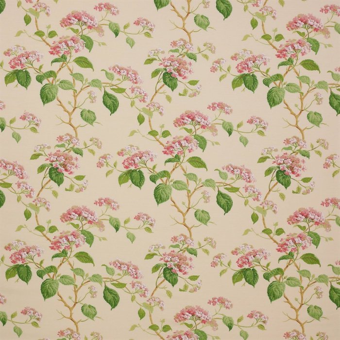 Summerby von Colefax and Fowler in Pink
