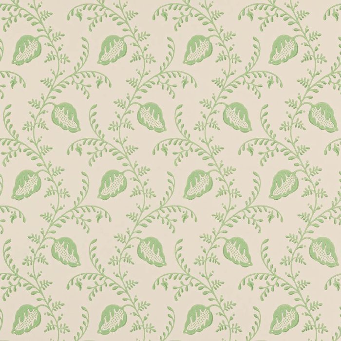 Felicity Tapete von Colefax and Fowler in Green