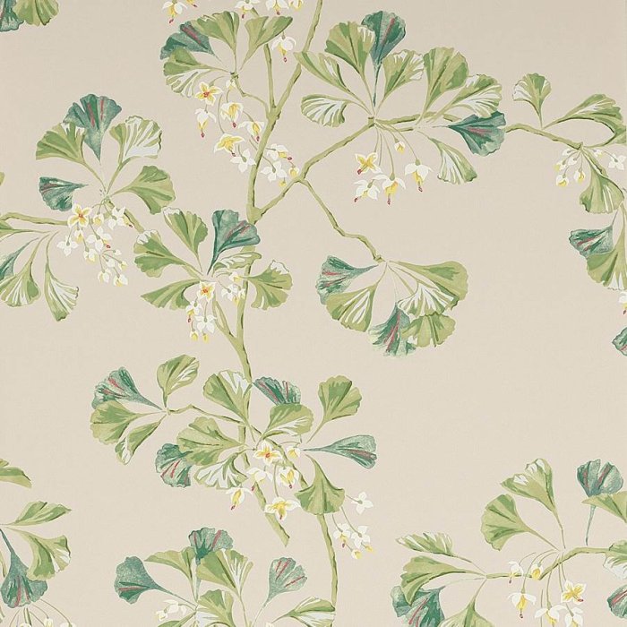 Greenacre Tapete von Colefax and Fowler in Forest Green