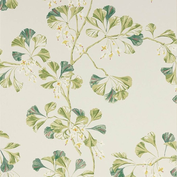 Greenacre Tapete von Colefax and Fowler in Leaf Green