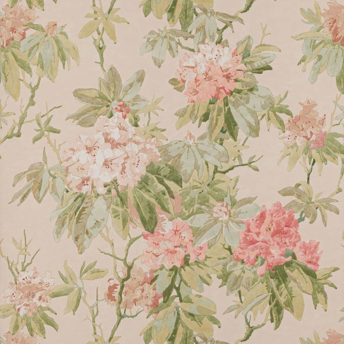 Mereworth Tapete von Colefax and Fowler in Red/Green