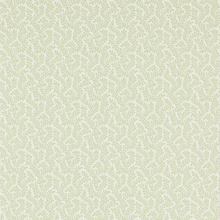 Rushmere Tapete von Colefax and Fowler in Willow Green