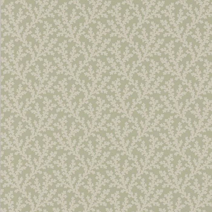 Sea Coral Tapete von Colefax and Fowler in Willow