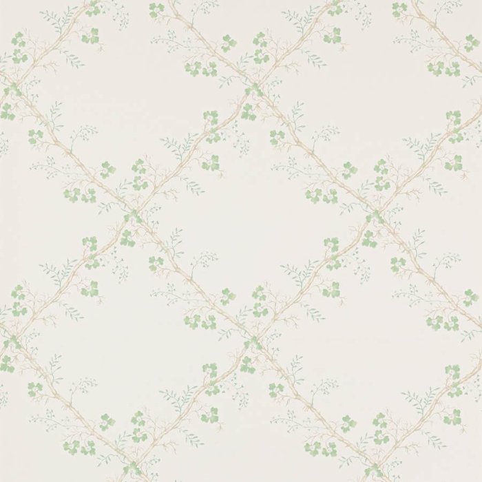 Trefoil Trellis Tapete von Colefax and Fowler in Celadon