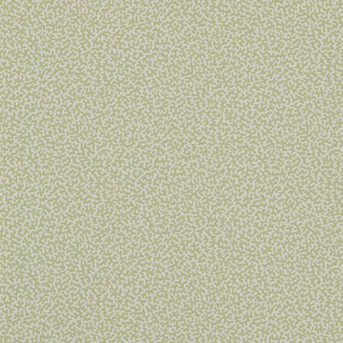 Wendle Tapete von Colefax and Fowler in Leaf