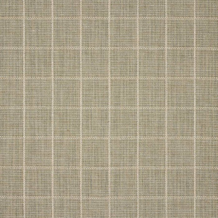 Walcott Check von Colefax and Fowler in Moss Green