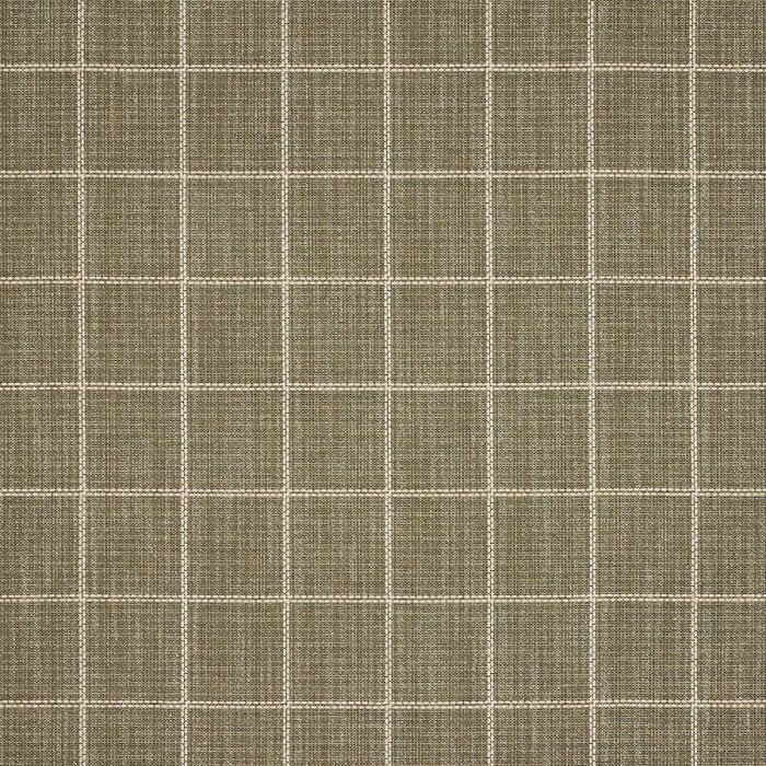 Walcott Check von Colefax and Fowler in Olive